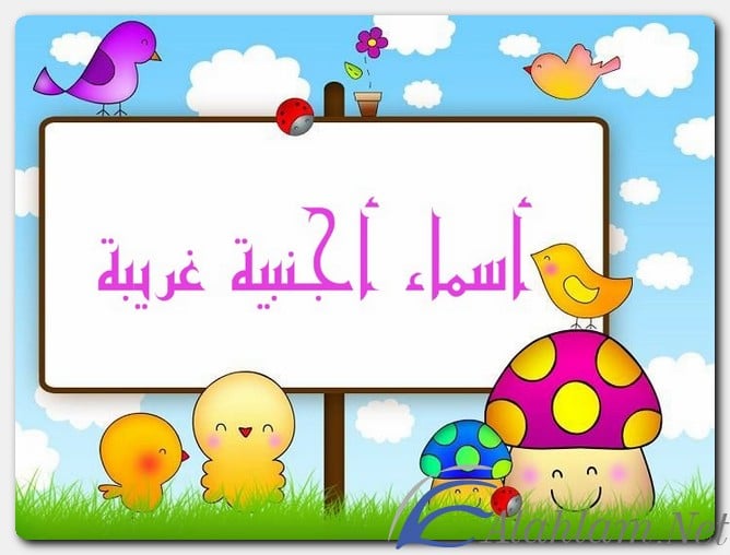 أسماء أجنبية غريبة 2022 ومعانيها موقع شملول