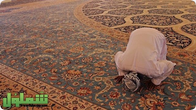 الفرق بين الإباضية والسنة - موقع شملول