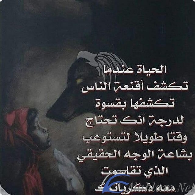 بوستات عن الحياة الصعبة 2022 اقوي كلام عن الحياة موقع شملول