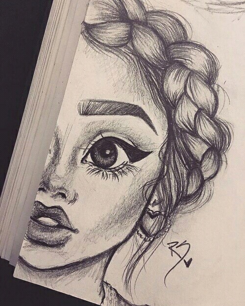 برعم دوار البحر أسفل رسم بالرصاص صور Lesliwebdesign Com