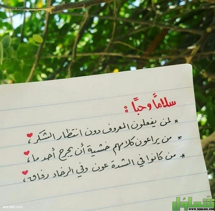 عبارات شكر لشخص ساعدني ليدي بيرد