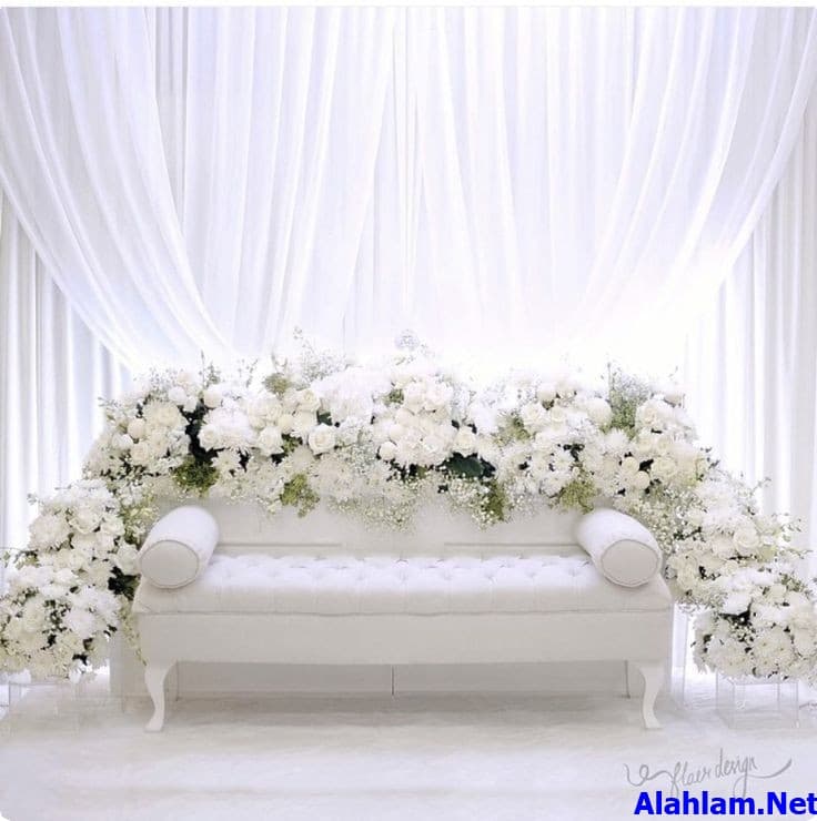 كوشات روعه صور كوش 2021 موقع شملول