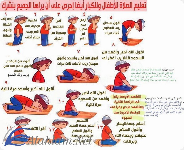 كيفية الصلاة بطريقة سهلة موقع شملول