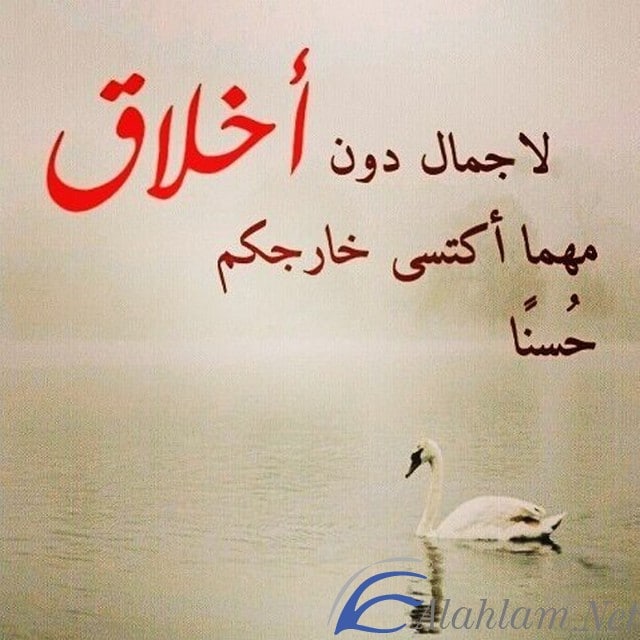 أقوال وكلمات عن الأخلاق قصيرة ومفيدة موقع شملول