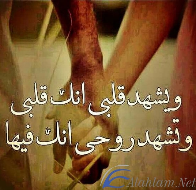 عبارات جميلة وقصيرة 2022 موقع شملول