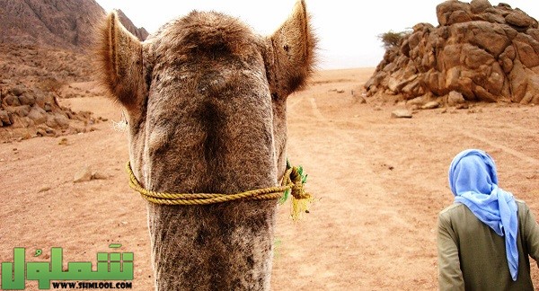 ما هي المستحيلات الثلاثة عند العرب